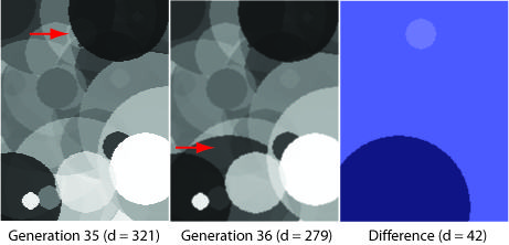 Compare two evolved images to spot the difference between them.