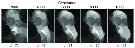 Example evolved images from different generations