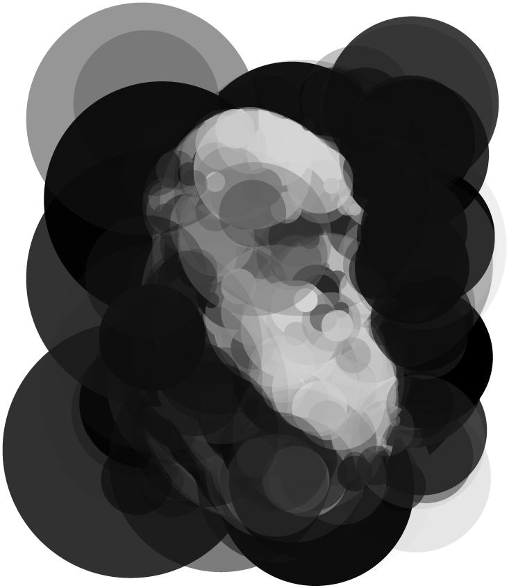 Image of Darwin from 256 circles evolved over one million generations