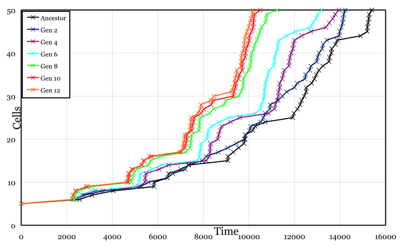Number of cells over time for various generations of my heterocyst simulation