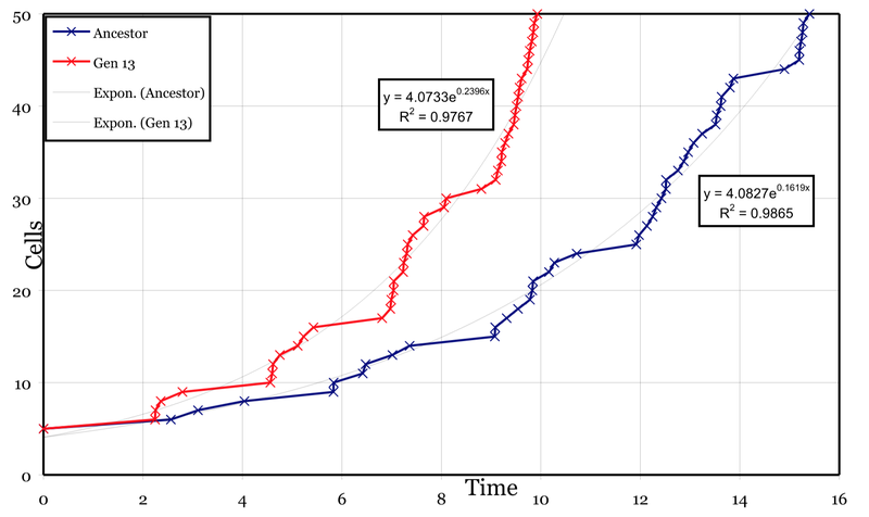 Fitting exponential curves to the fastest growing heterocyst filament from the first and thirteenth generations.