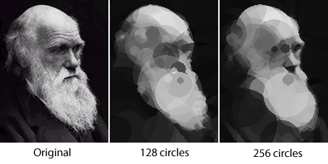 Evolved images of Charles Darwin