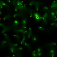 Slime mold simulation